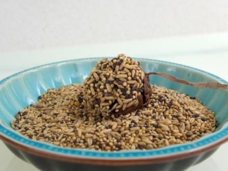 boules de graines DIY