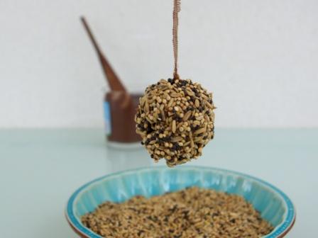 boules de graines DIY