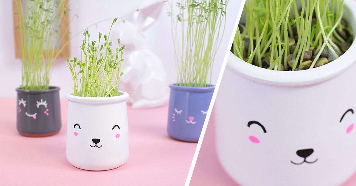 DIY Pots Kawaii