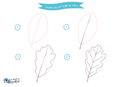 Dessine-moi les feuilles – dessin et coloriages de feuilles d’arbres