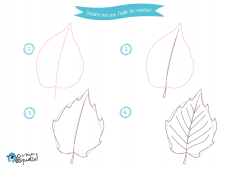 Dessine-moi les feuilles – dessin et coloriages de feuilles d’arbres