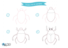 Dessine-moi les insectes - Dessins et coloriages d'insectes