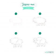 Dessin pas à pas bison