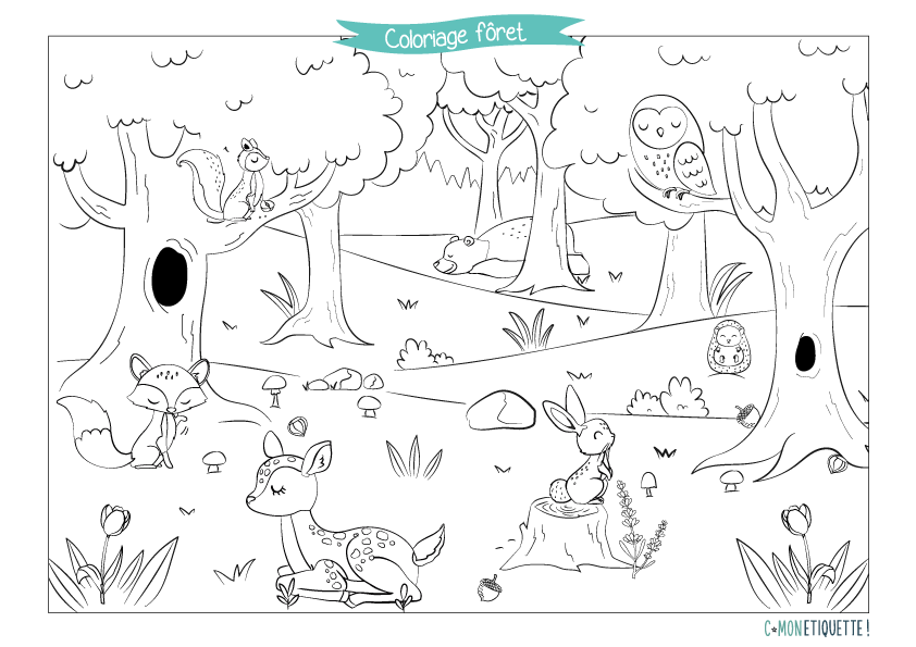 Coloriage Animaux de la Forêt